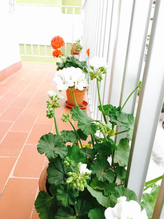 Axarquia Apartments Nerja Eksteriør billede